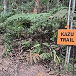 Kazu Trail Junction