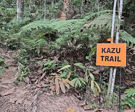 Kazu Trail Junction