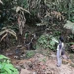 Hevea Waterfall