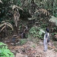 Hevea Waterfall ico