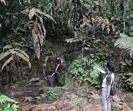 Hevea Waterfall