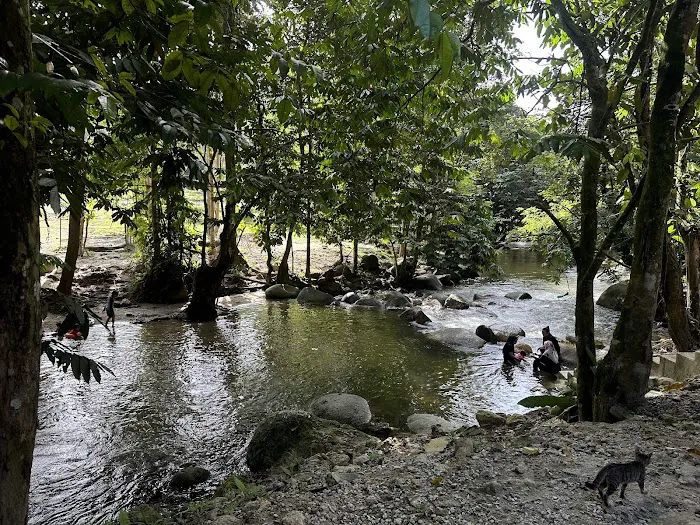 Teratak Rimba Amir Picture 7