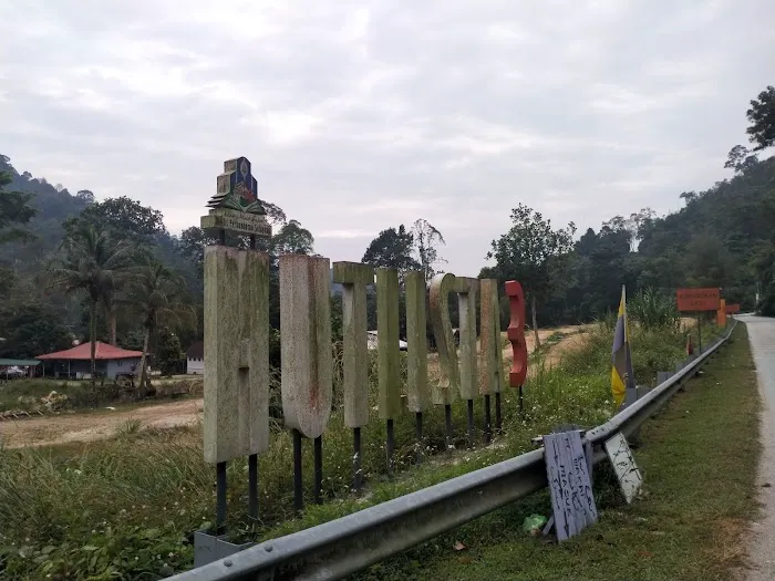 Teratak Rimba Amir Picture 9