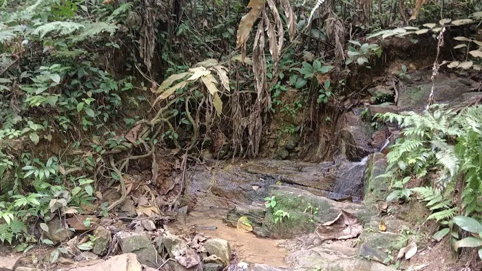 River Xsing Picture 1