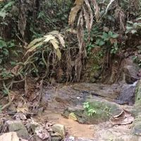 River Xsing ico