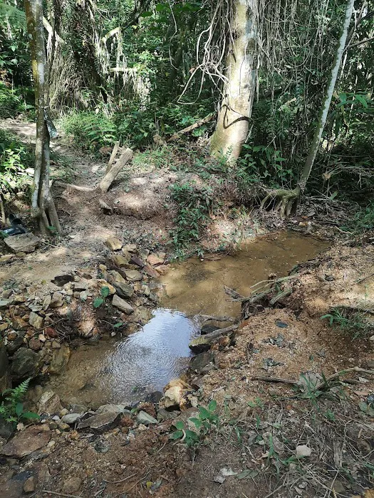 River Xsing Picture 3
