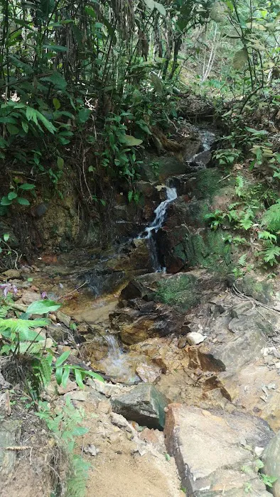 River Xsing Picture 2