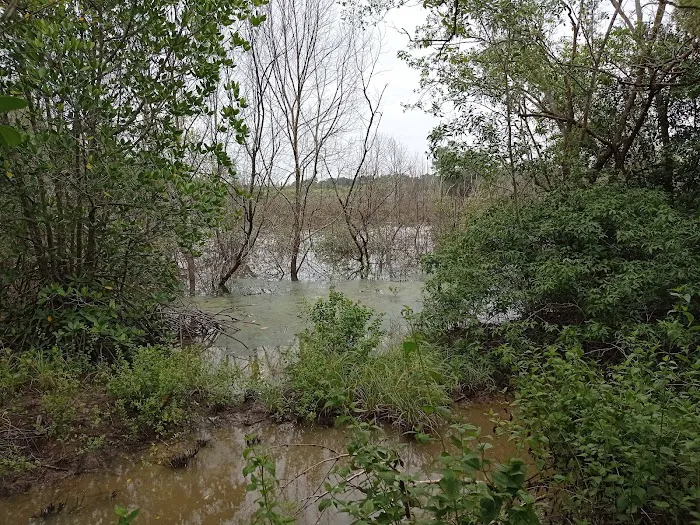 Mangrove Boardwalk (Kuala Selangor Nature Park) Picture 8