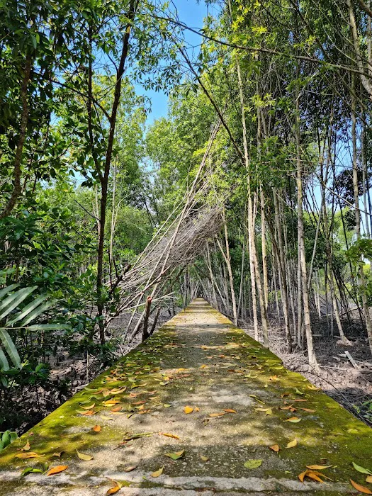 Mangrove Boardwalk (Kuala Selangor Nature Park) Picture 2
