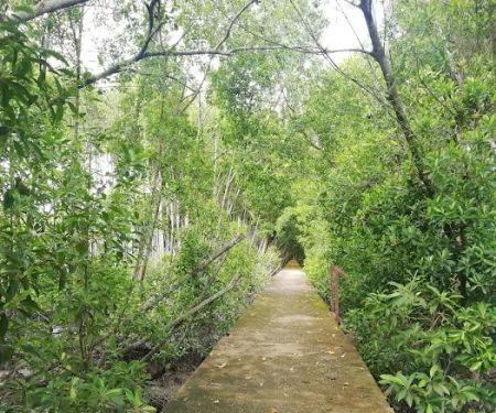Mangrove Boardwalk (Kuala Selangor Nature Park)