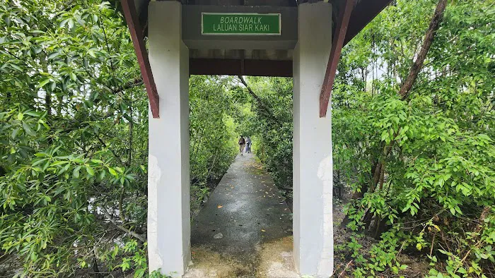 Mangrove Boardwalk (Kuala Selangor Nature Park) Picture 3