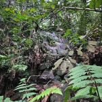 Air Akar Falls