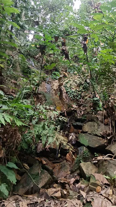Air Akar Falls Picture 2