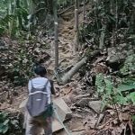Dinding Waterfall