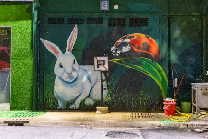 Jalan Rembia Street Art Picture 10