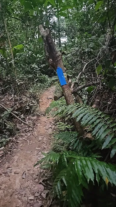 Kazumi Blue Trail Picture 1