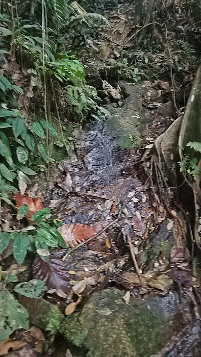 Rubber Tapper Waterfall Picture 1