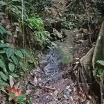 Rubber Tapper Waterfall
