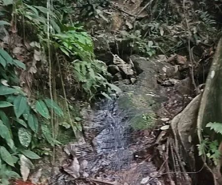 Rubber Tapper Waterfall