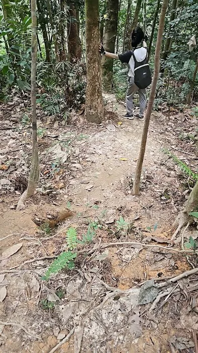MT Trail Picture 1