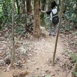 MT Trail