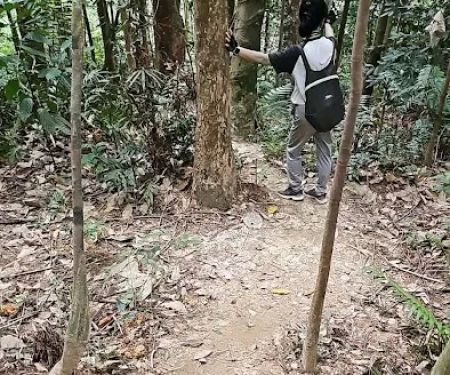 MT Trail