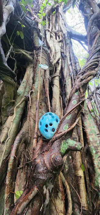 Suprematic Synthetic Skull Picture 4