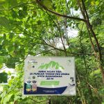 Denai 3 Puteri Trail