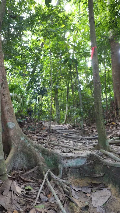 Denai 3 Puteri Trail Picture 6
