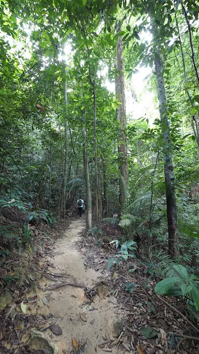 Denai 3 Puteri Trail Picture 5