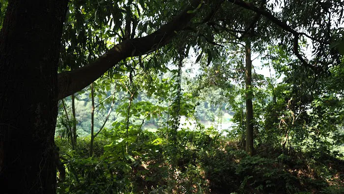 Denai 3 Puteri Trail Picture 9