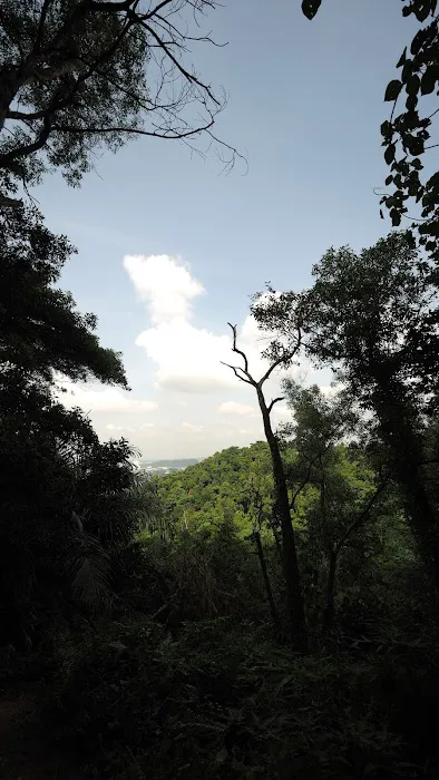 Denai 3 Puteri Trail Picture 4