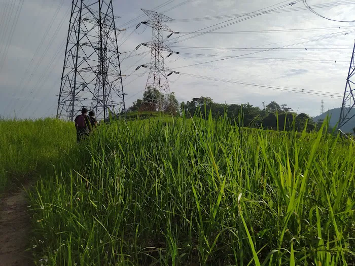 Bukit Lanjan Damansara Perdana Trailhead Picture 9