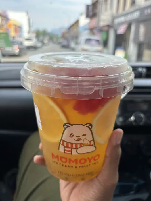 MOMOYO Bentong Picture 7