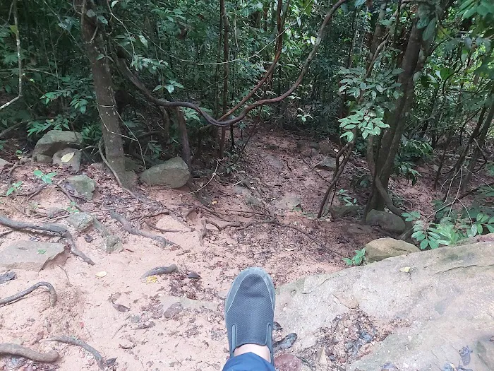Bukit Buloh The Red Forest Picture 5