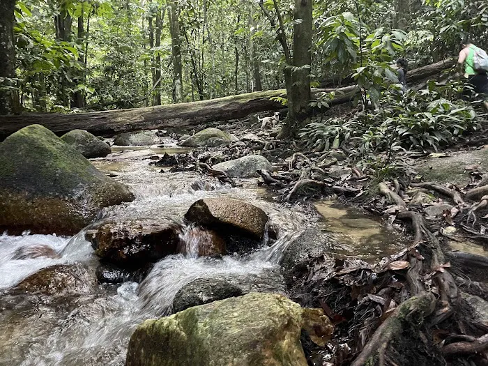 Sungai Pisang Waterfall Trailhead Picture 10