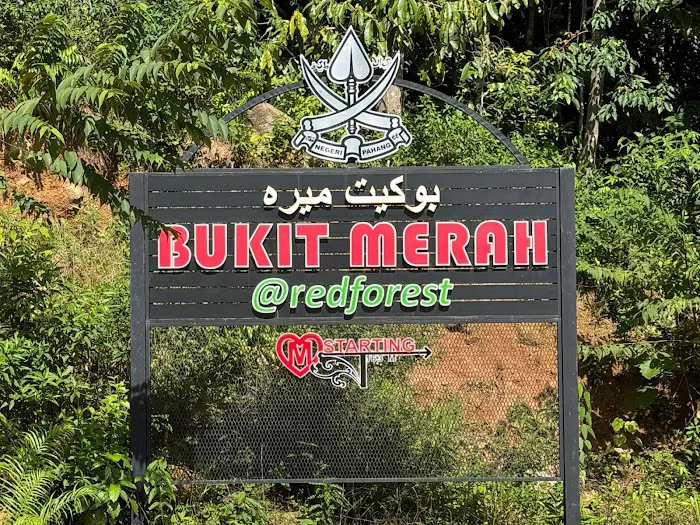 Bukit Merah (The Red Forest) Picture 4