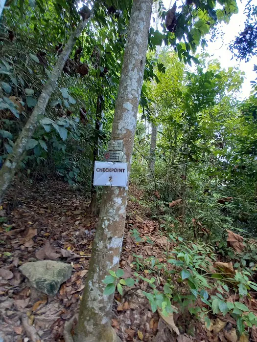 Bukit Merah (The Red Forest) Picture 9