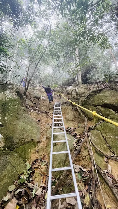 Bukit Merah (The Red Forest) Picture 5