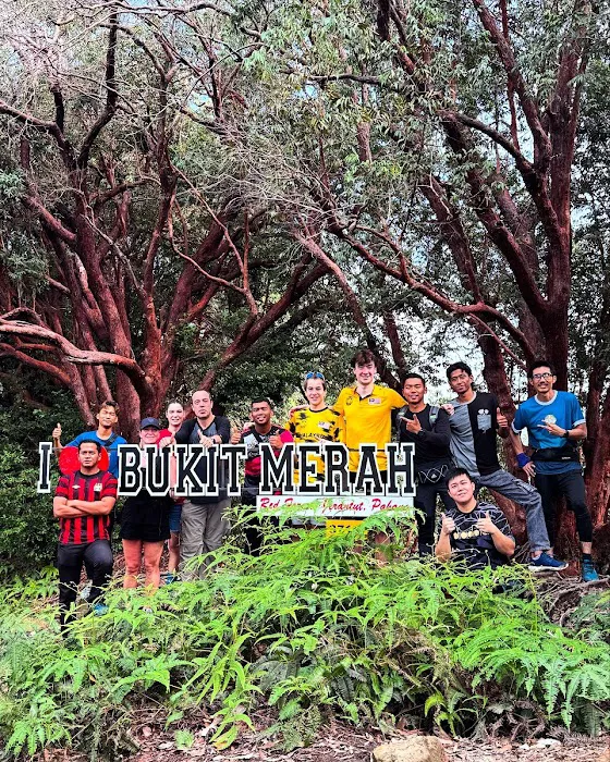 Bukit Merah (The Red Forest) Picture 8