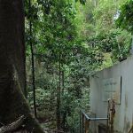Sungai Pisang Waterfall Trailhead Entry