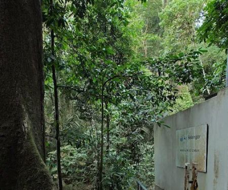 Sungai Pisang Waterfall Trailhead Entry