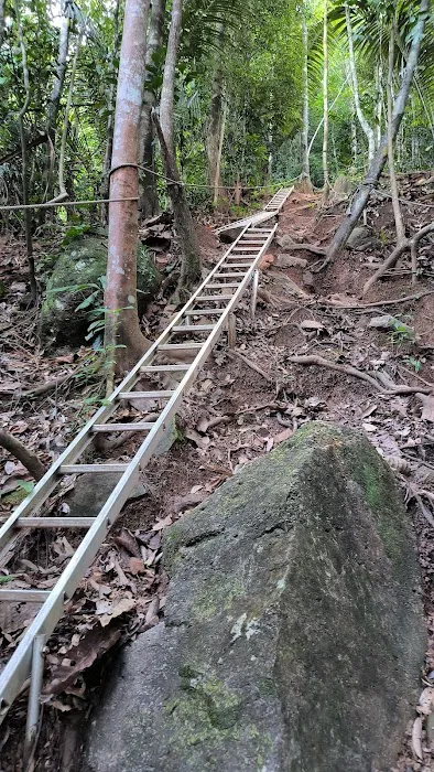 Bukit Merah (The Red Forest) Picture 5