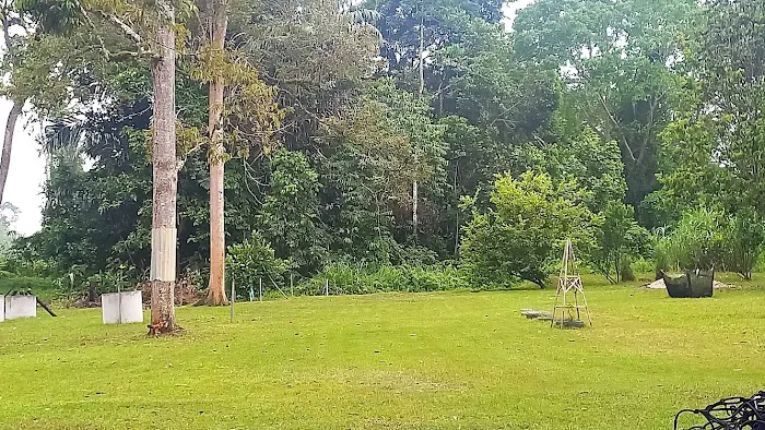 River Valley Campsite Picture 8