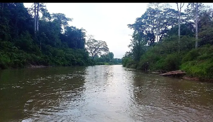 River Valley Campsite Picture 6