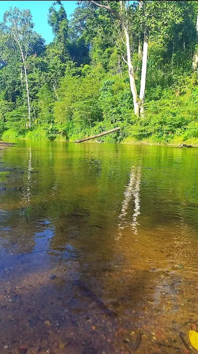 River Valley Campsite Picture 7