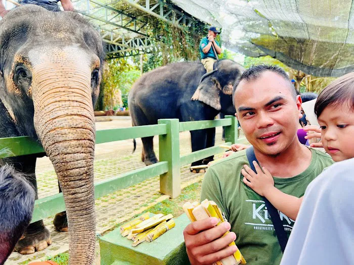 Kawasan Mandi Gajah Picture 1