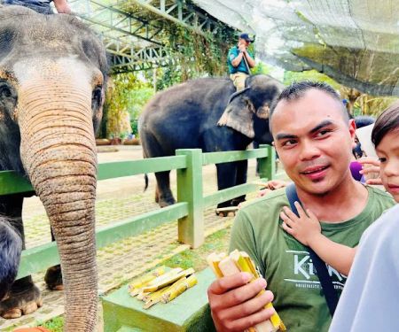 Kawasan Mandi Gajah