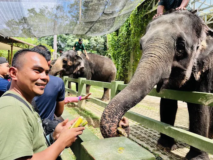 Kawasan Mandi Gajah Picture 5