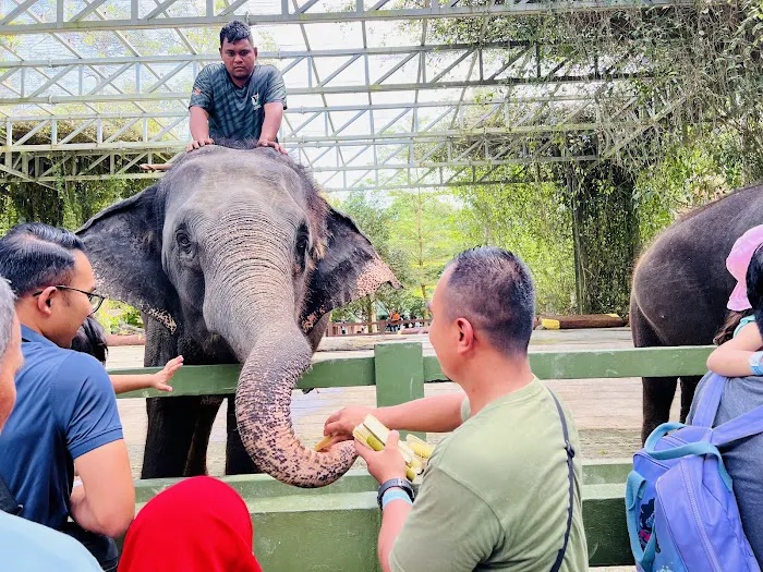 Kawasan Mandi Gajah Picture 4